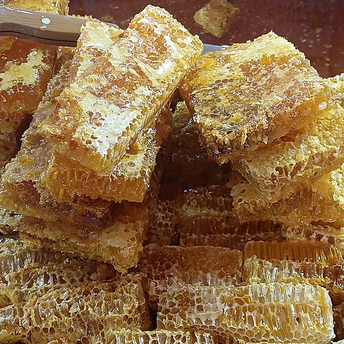 [NAT-016] Miel de jujubier, pot 500 g