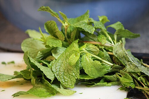 [NAT-029] Menthe verte séchée, sachet 100 g